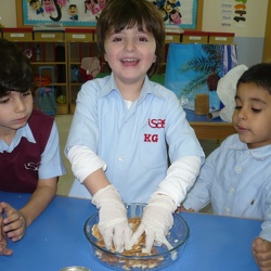 Chocolate Biscuits, KG1
