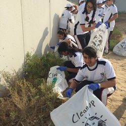 Clean Up the World, Grade 8