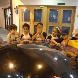 Trip to Sharjah Museum