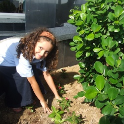 Planting-Day-Grade-4-7