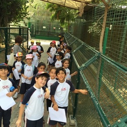 Field Trip to Dubai Zoo, Grade 3-4
